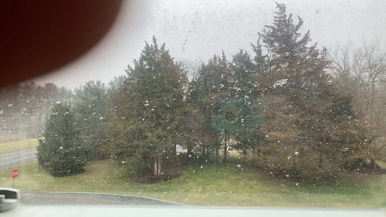 Almost had a snowless winter! ❄️