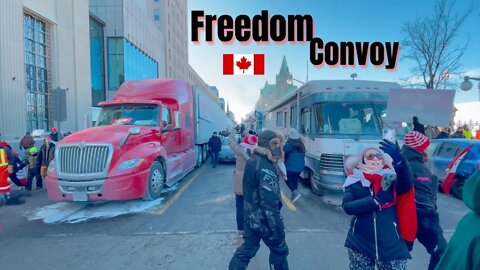 Freedom Convoy | Beautiful Peaceful Protest In Ottawa
