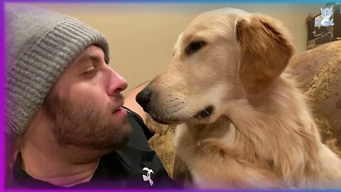 FUNNIEST Pet Fails! 🤣 Best Compilation 2023