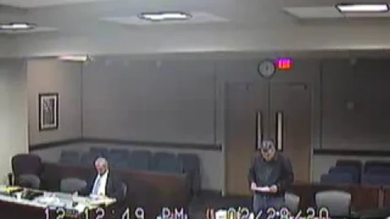 Norcutt matter before Clark County Family Court Judge Cheryl Moss 2.28.20 4-9