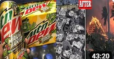 DEWmocracy In Action - This Is How They DEW It!