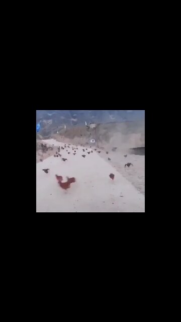 Here they come ○-○