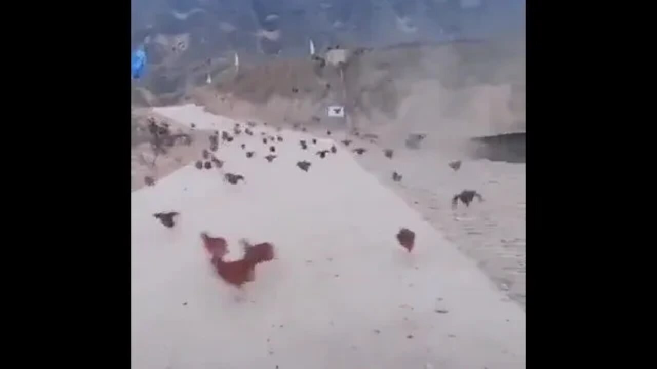 Here they come ○-○