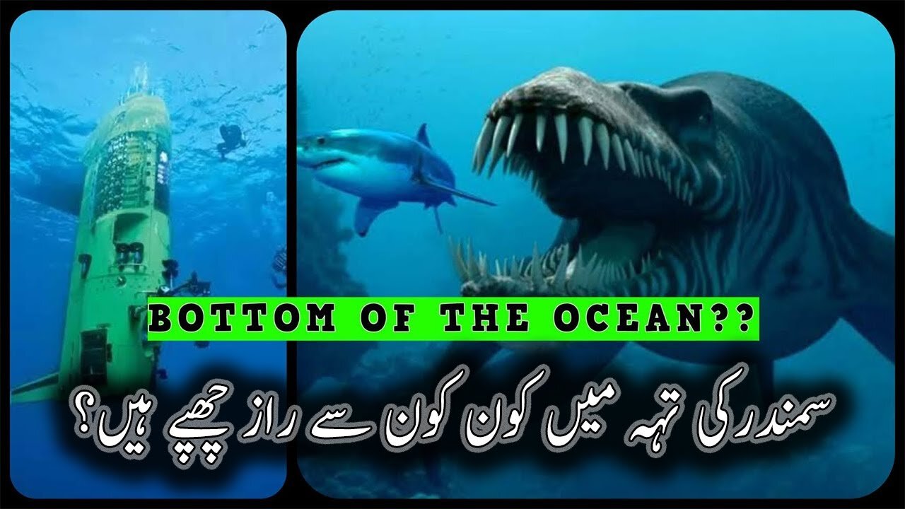 What Lies Below The Deepest Point of The Ocean || Amazing Facts About Ocean - Fact Factory