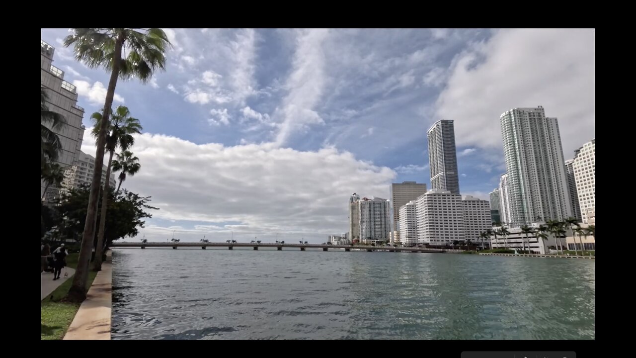 A SLOTHCHILD IN MIAMI