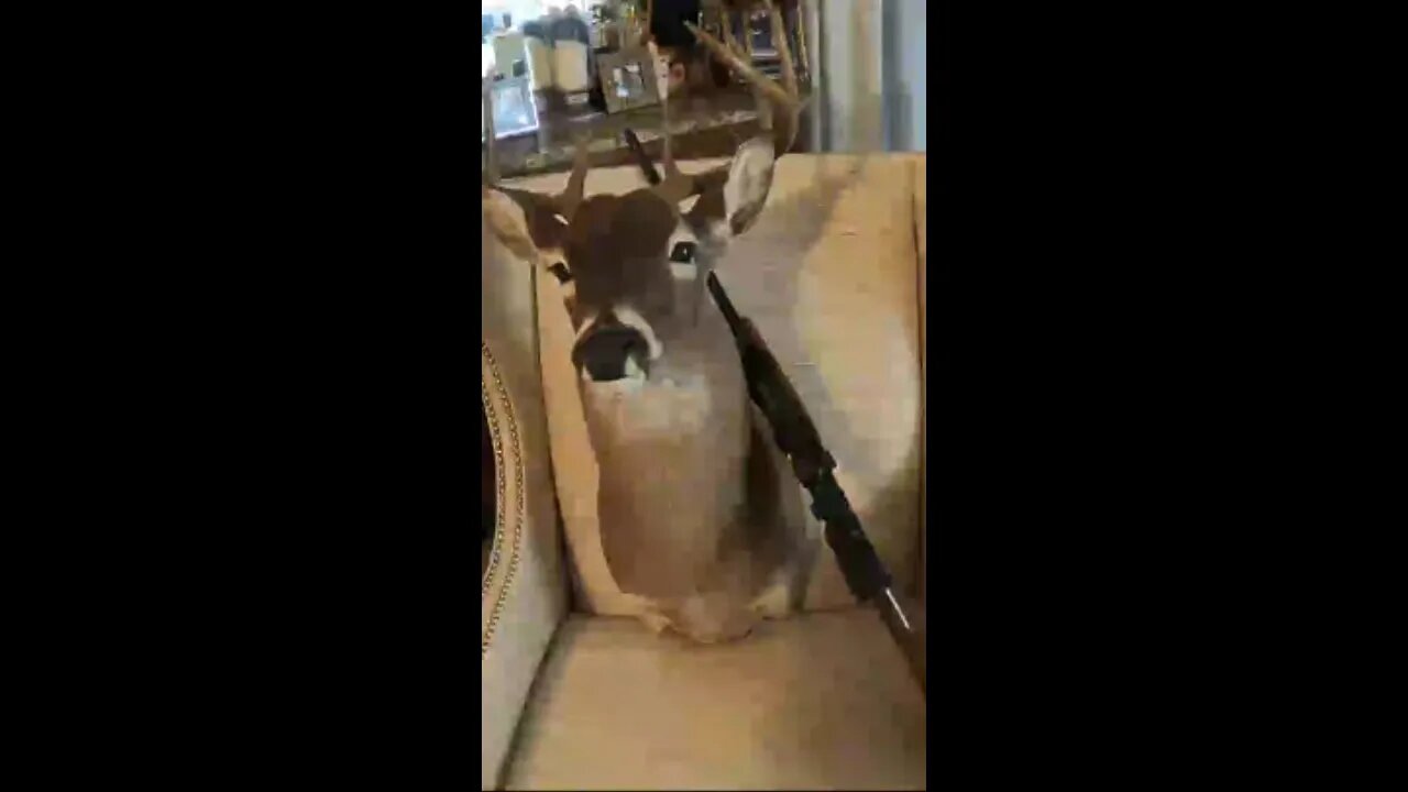 my frist buck and the rifle i used