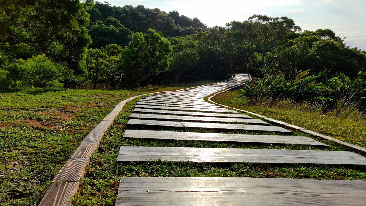 Sheding Nature Park 社頂自然公園 🇹🇼 (2021-10) {slide show}