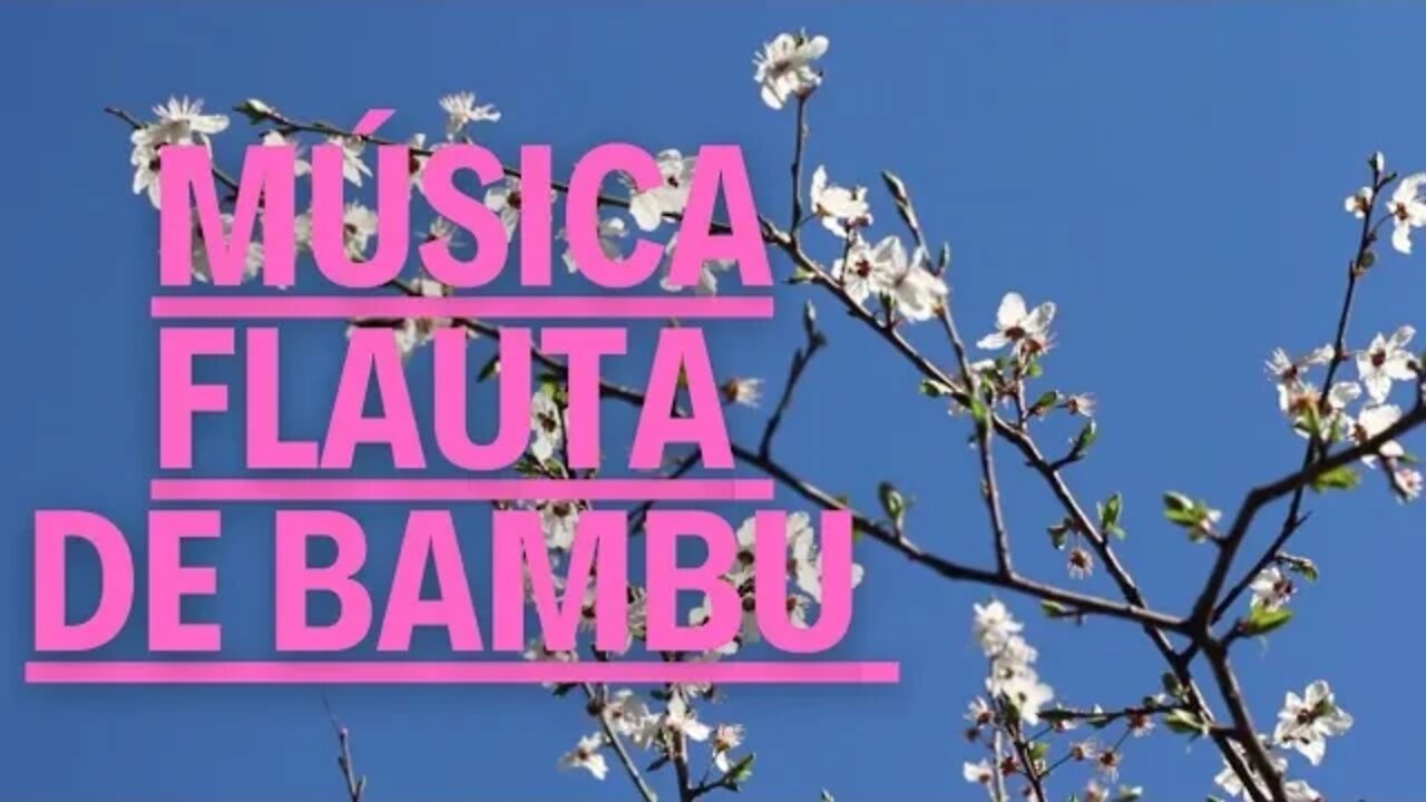 Música Flauta de Bambu😴Música oriental relaxante @Músicas Relaxantes Forever