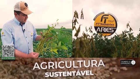 Cultivares de soja mais produtivas para o nordeste brasileiro com tecnologia da FT Sementes