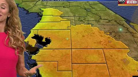 ABC ACTION WEATHER FORECAST