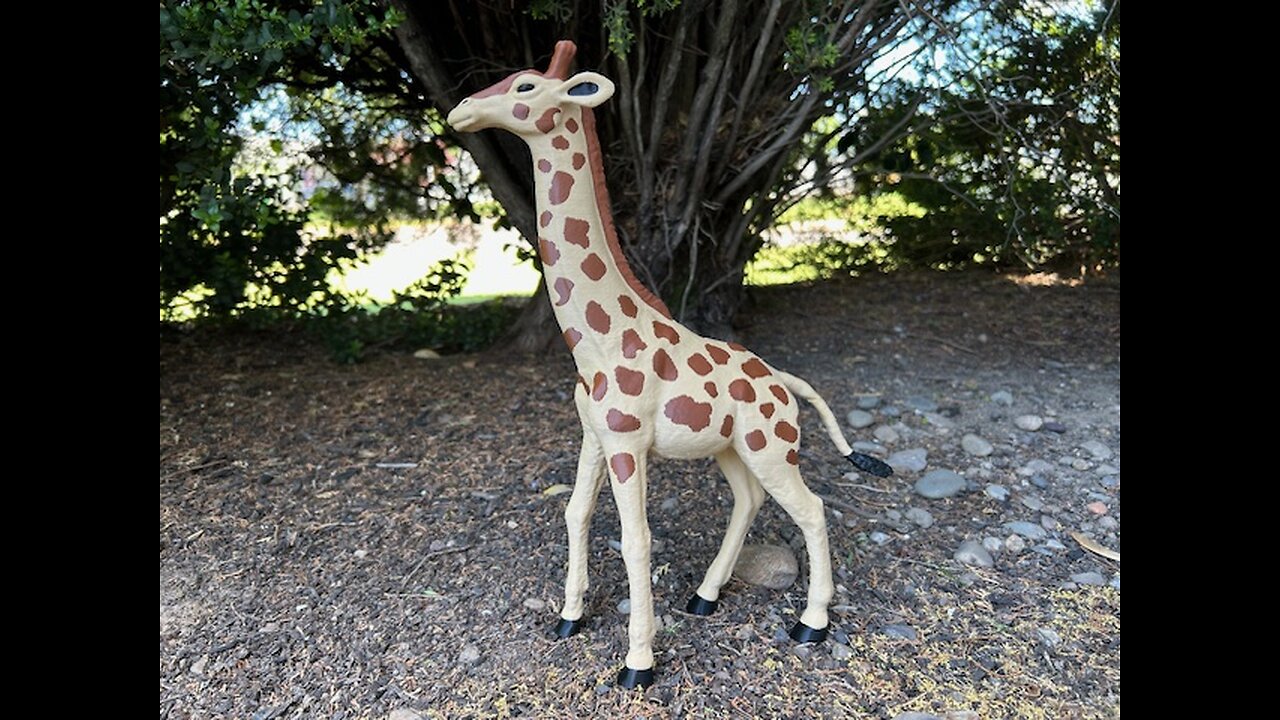 Giraffe
