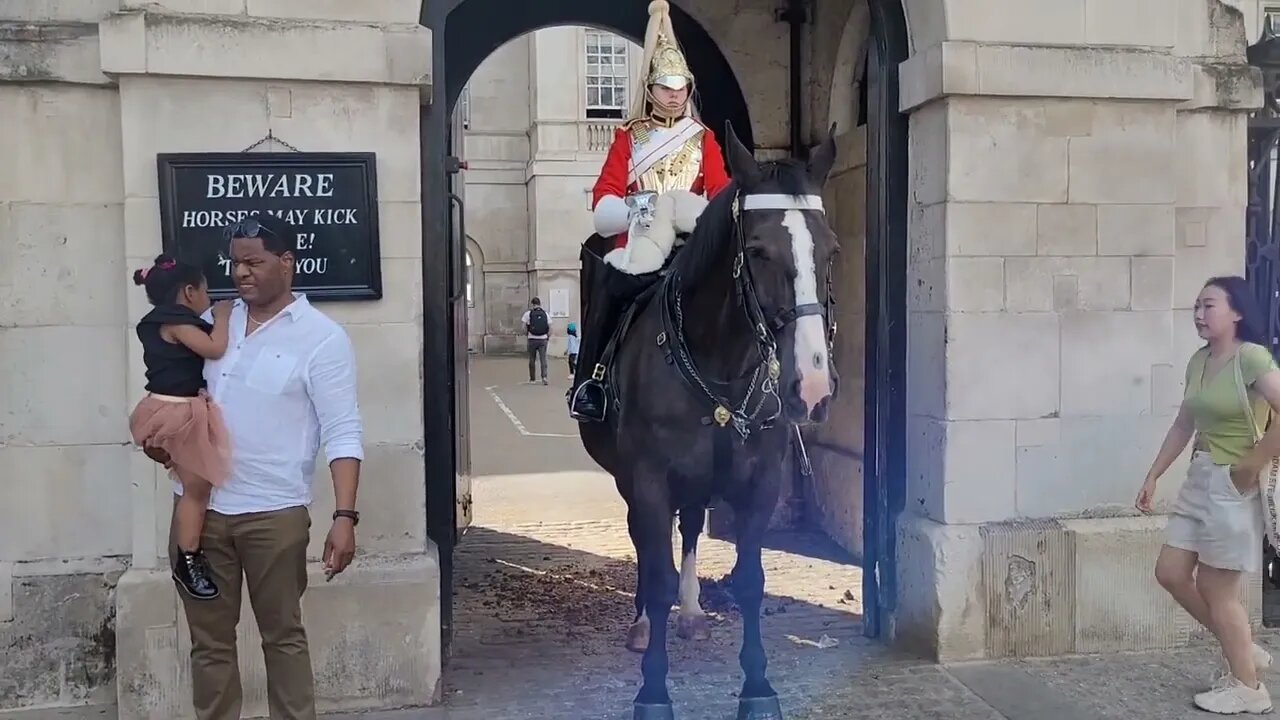 Speed up the posing #horseguardsparade