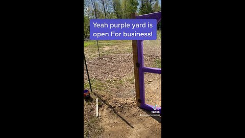 Purple coop is ready