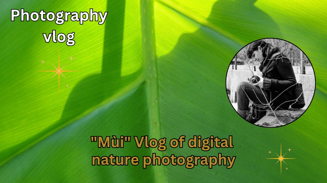 "Mùi" Vlog | Digital nature photography | High vibration art