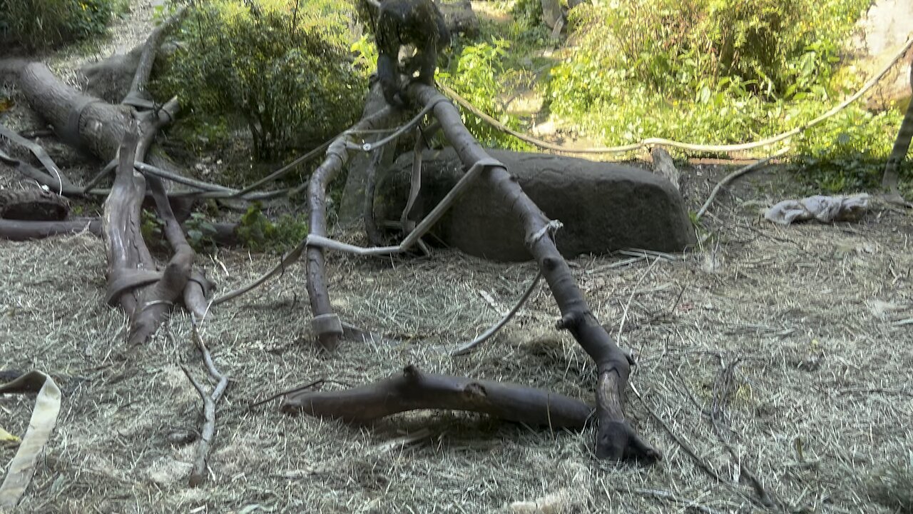 Seattle zoo