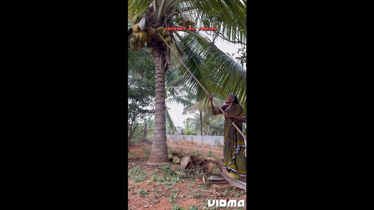 Coconut oil making