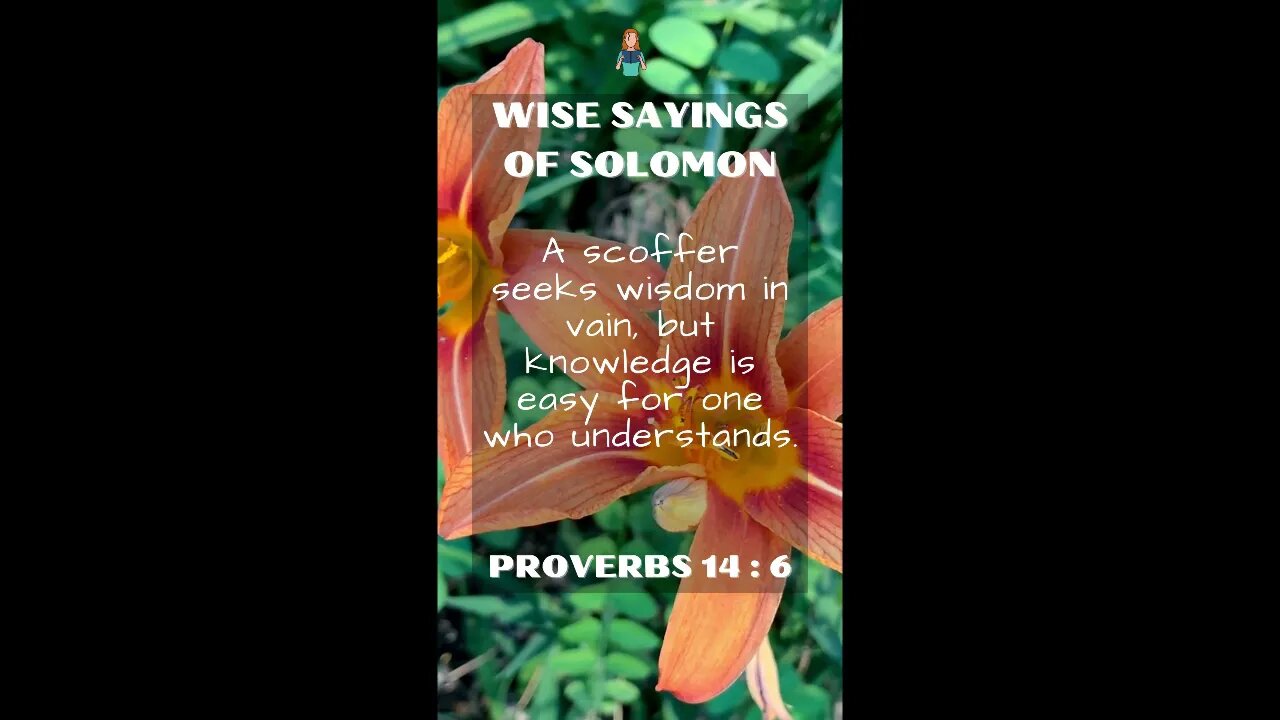 PROVERBS 14:6 | Wise Sayings of Solomon