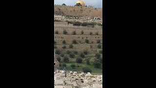 God’s Name Appears on Temple Wall
