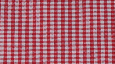 Gingham Pattern Cloth Liner Red Review