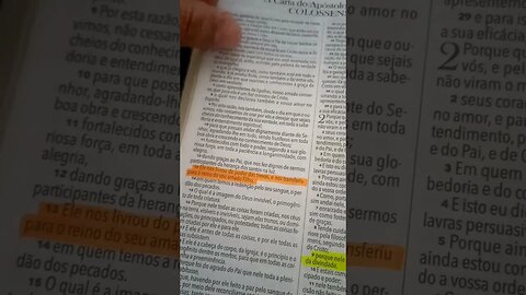 Maravilhosa graça é esta que nos salvou. 😭✝️🔥 #conteúdocristão