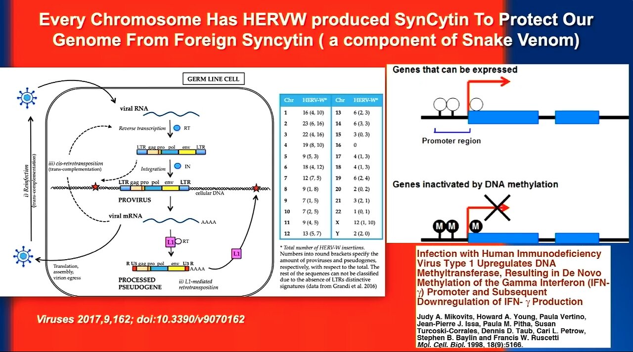 Dr. Judy Mikovits | "Everybody Is Worried About These Shots Getting Into You DNA"