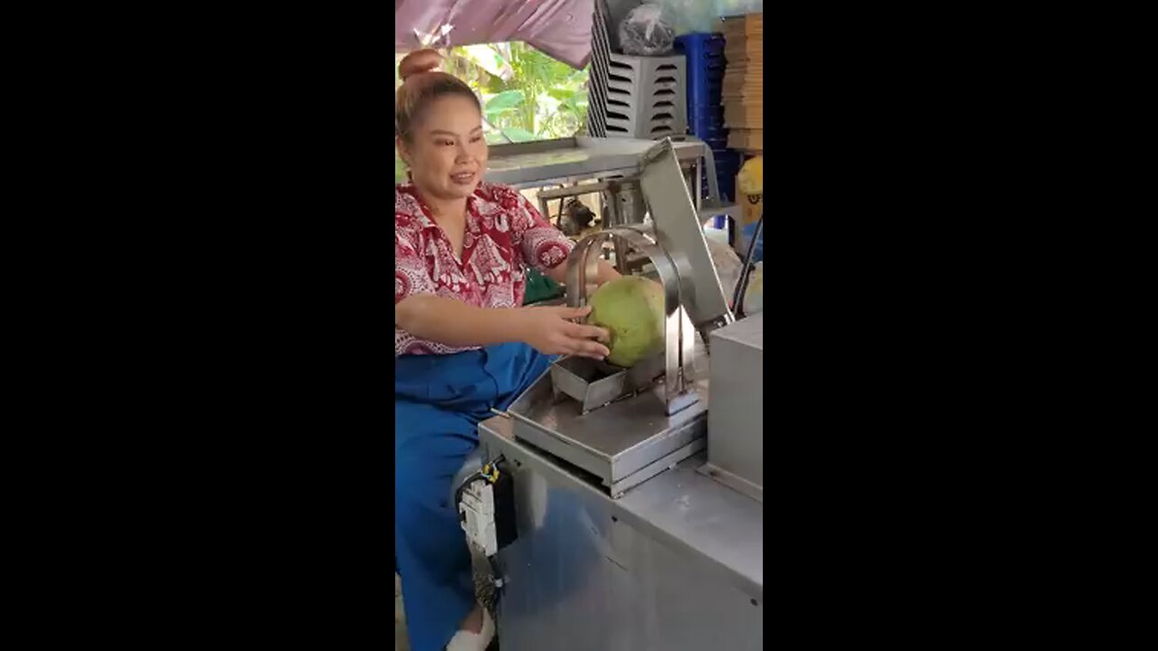 coconut automatic cutting machine