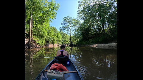 Buckatunna Creek - South Mississippi Paddle Adventure