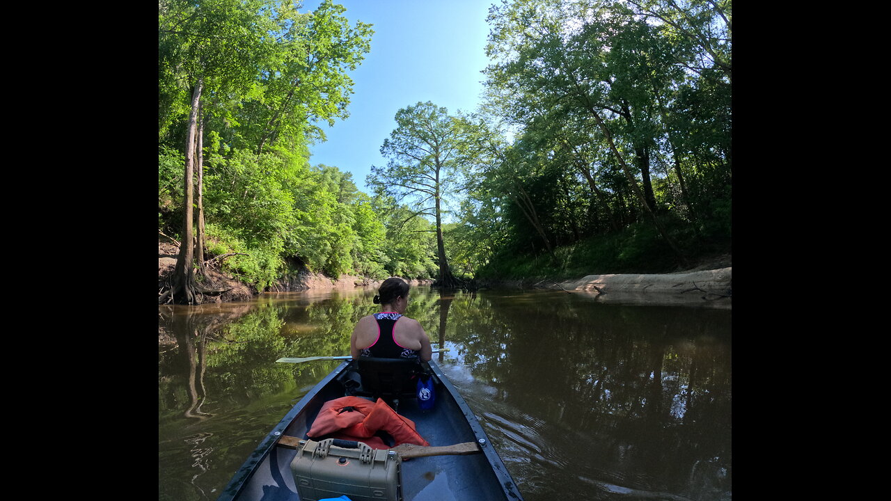 Buckatunna Creek - South Mississippi Paddle Adventure