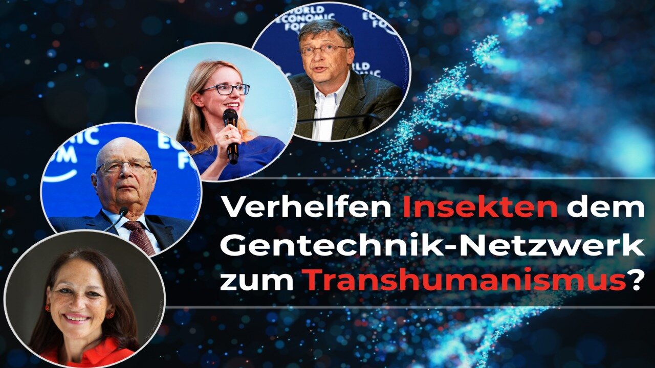 Verhelfen Insekten dem Gentechnik-Netzwerk zum Transhumanismus?@kla.tv🙈