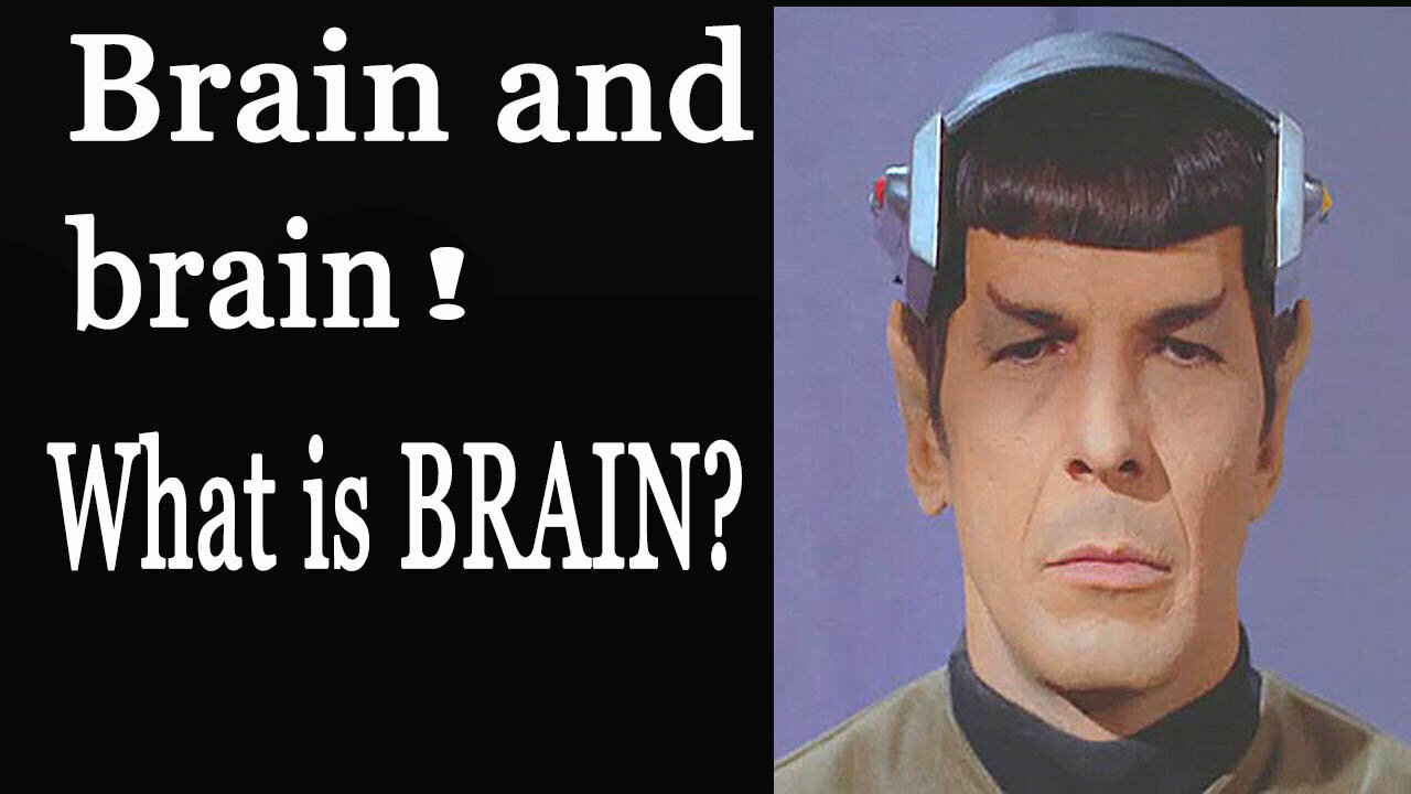 The ULTIMATE Spock's Brain Review - Star Trek