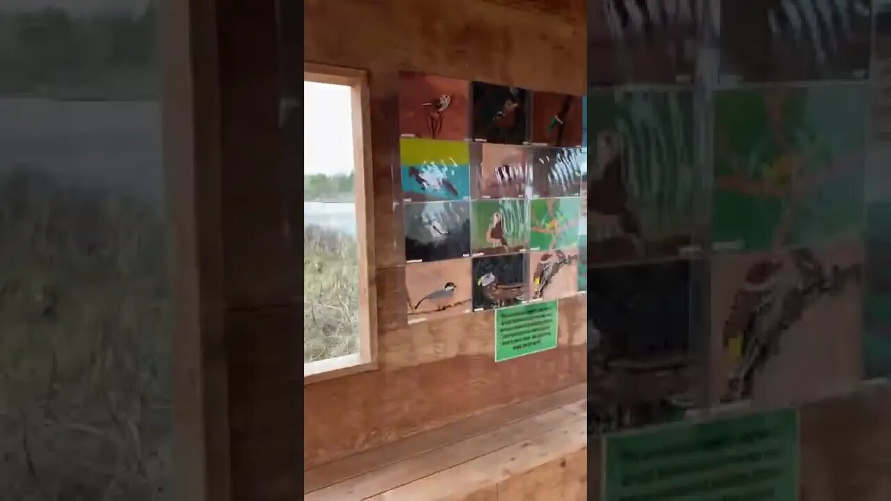 Cool cabin at bubbling springs trail