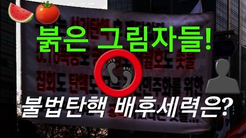 불법 탄핵 붉은 그림자