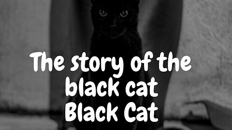 The story of the black cat