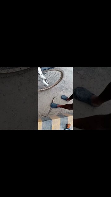 bam fishing l bam shikar l बाम फिशिंग l #fish_killer #fishing #shorts #fish