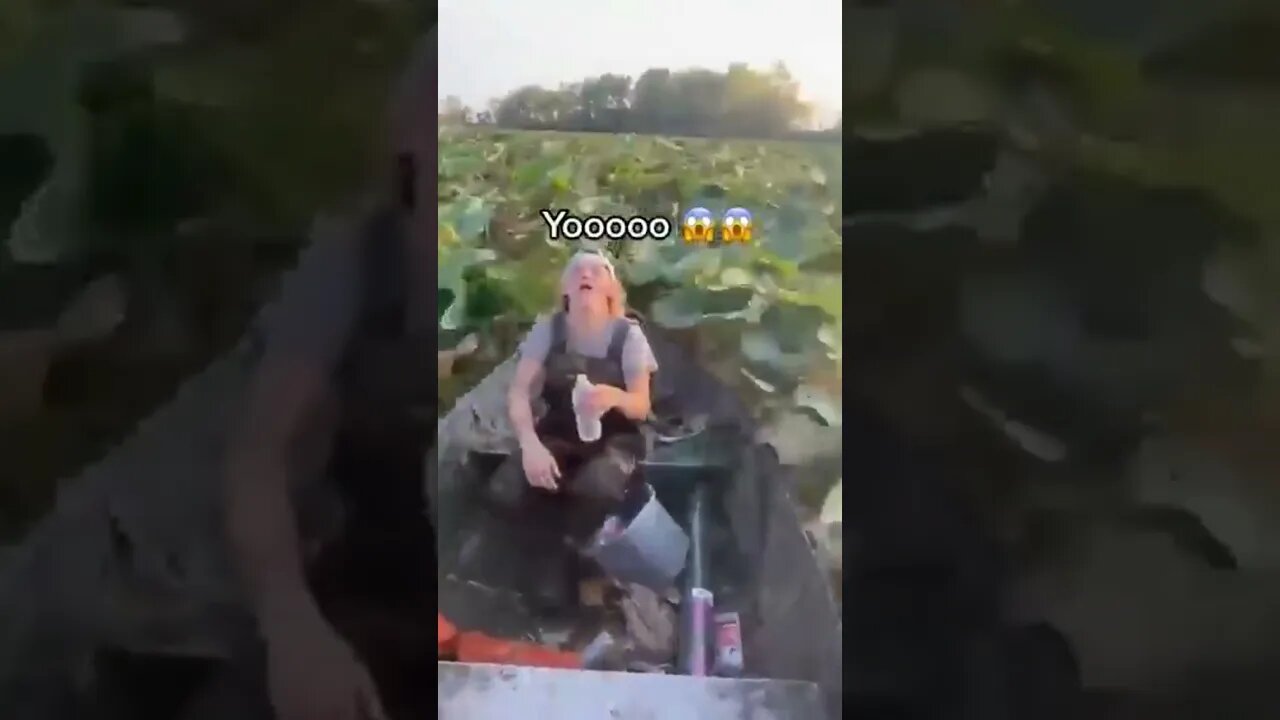amazing video