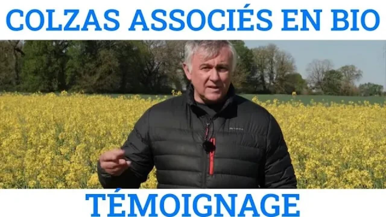 COLZA ASSOCIE - En bio, les facteurs de la réussite Témoignage dans le 17 @CA17TV
