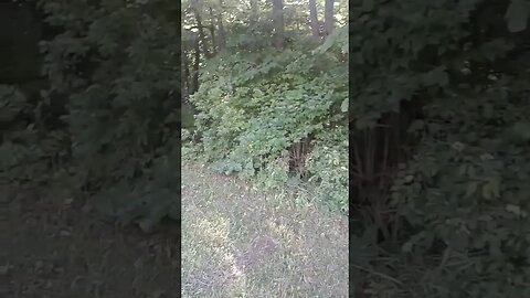 Myeerah Nature Preserve