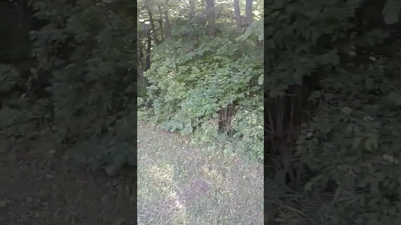 Myeerah Nature Preserve