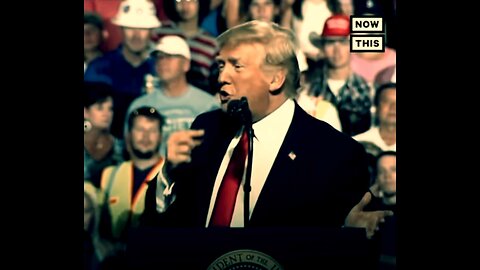 The Mouth & The Brain