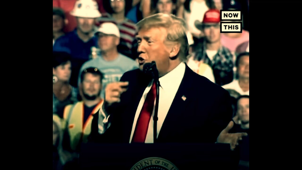 The Mouth & The Brain