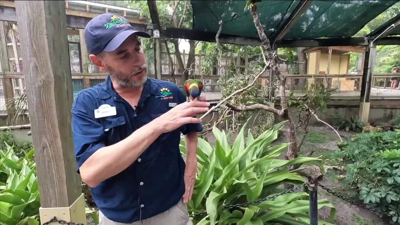 ZooTampa celebrates Latino Conservation Week and members of its talented staff