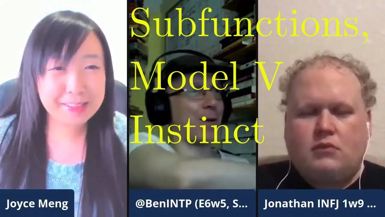 #JungianSubfunctions, #ModelVaserlan & VDH on instinct (nee sensing) [AFTER-SOCIONICS: EP 3]