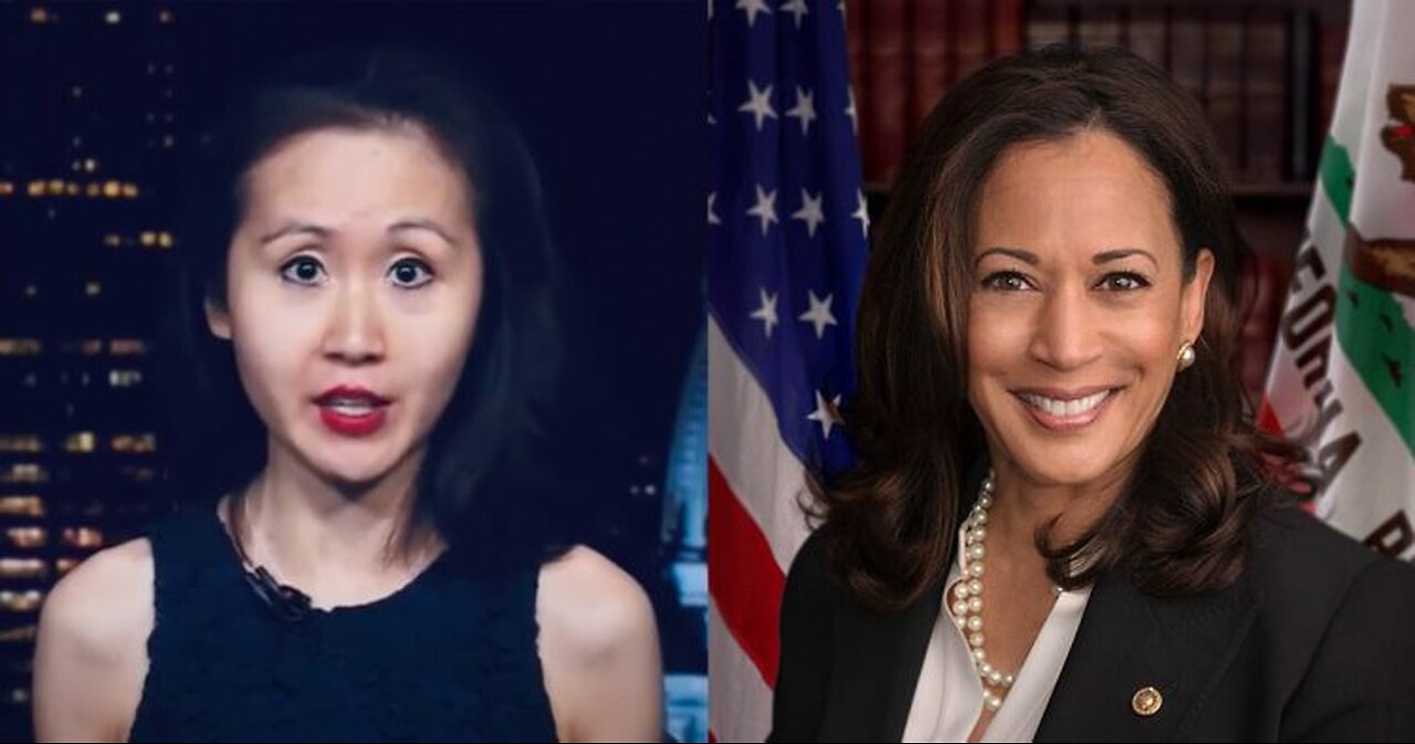 DNC Insider Blasts Kamala Harris Campaign as Financial Catastrophe