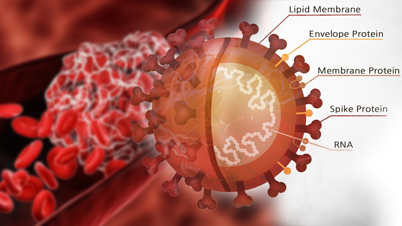 RESEARCH INDICATES COVID-19 SPIKE PROTEIN ASSOCIATED WITH HIGH INCIDENCE OF BLOOD CLOTS