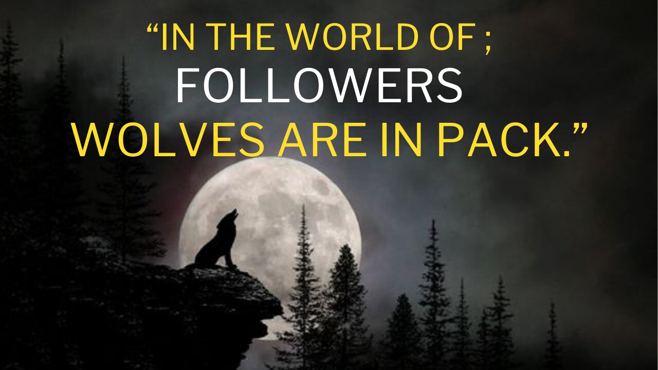 Wolf Mentality will Teach you More Enough.