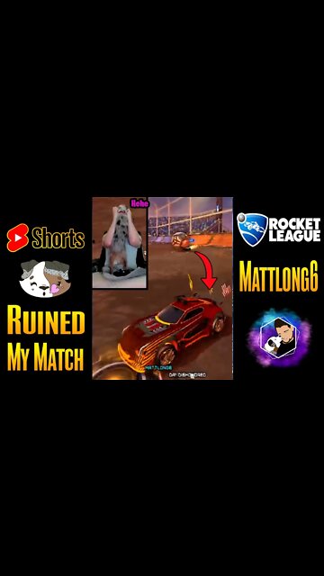 My DOG RUINED my RANKED Game!