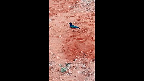 😎 i need a title for this lol