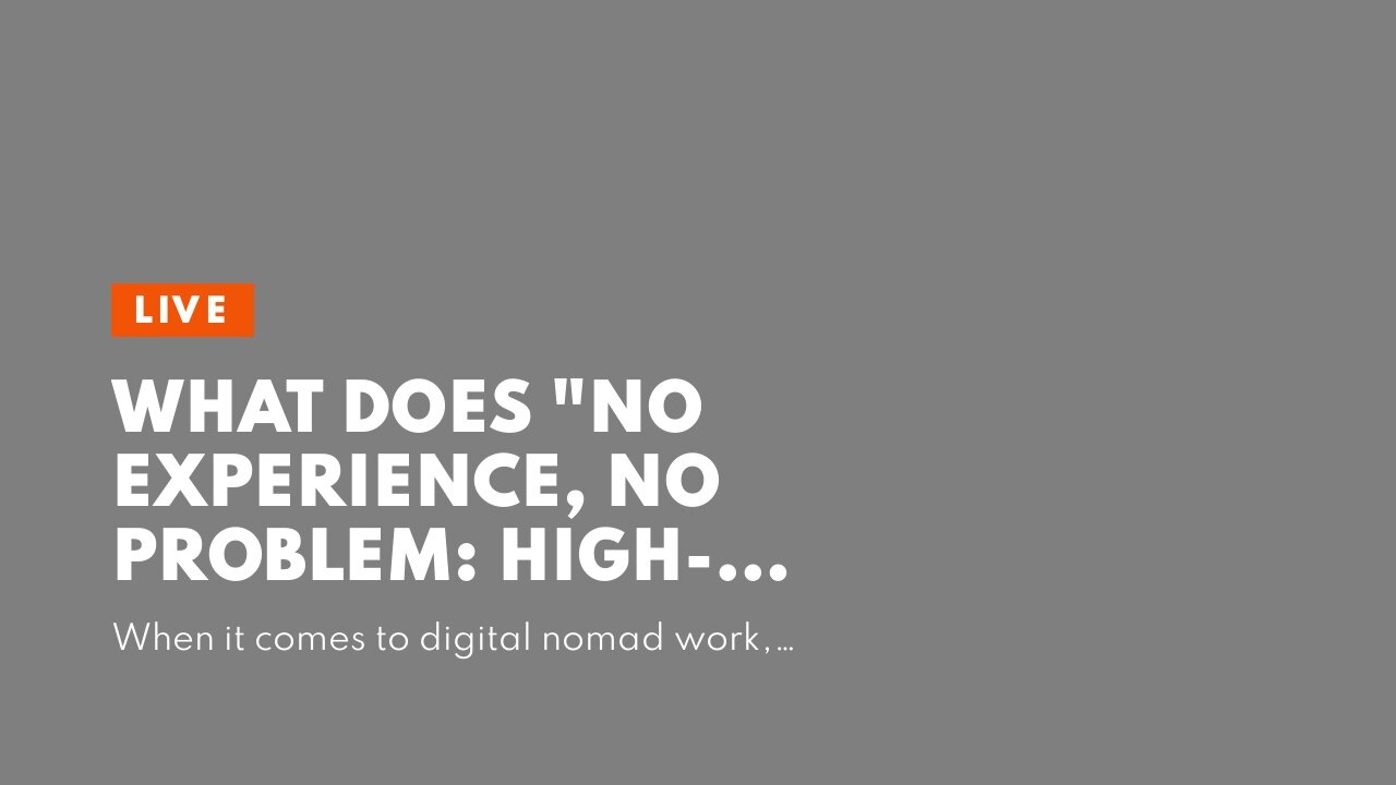 What Does "No Experience, No Problem: High-Demand Digital Nomad Jobs for Beginners" Do?