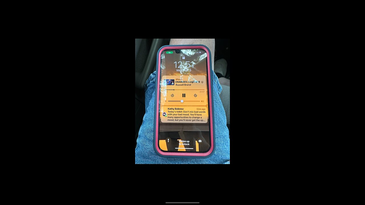 🎼🦁❤️😔🩸😔🐑🦁🎼