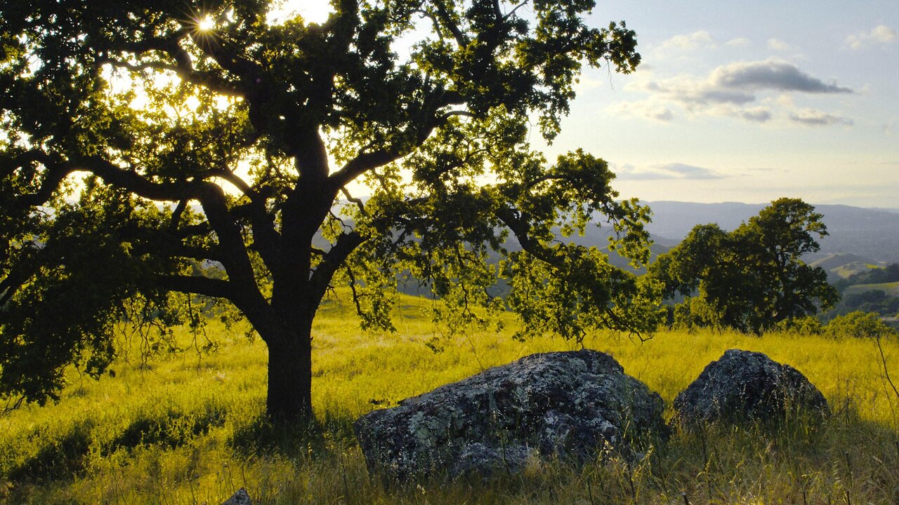 Local AZ ImagesMeditation